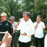 Ketua DPRD Provinsi Jambi, Edi Purwanto, saat turun ke kawasan perkebunan sawit PT Berkat Sawit Utama (BSU) di Desa Bungku, Kecamatan Bajubang, Kabupaten Batanghari