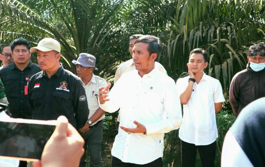 Turun ke Areal PT BSU Edi Purwanto Kawal Proses Patok 750 Ha Lahan Untuk SAD 113
