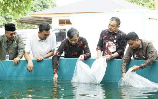 Ketua DPRD Jambi Serahkan 40 Ribu Bibit Ikan Lele Kepada Pokdakan di Tehok